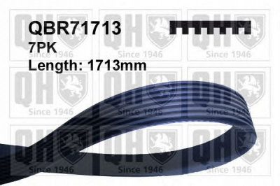 QUINTON HAZELL qbr71713 -  Поликлиновой ремень